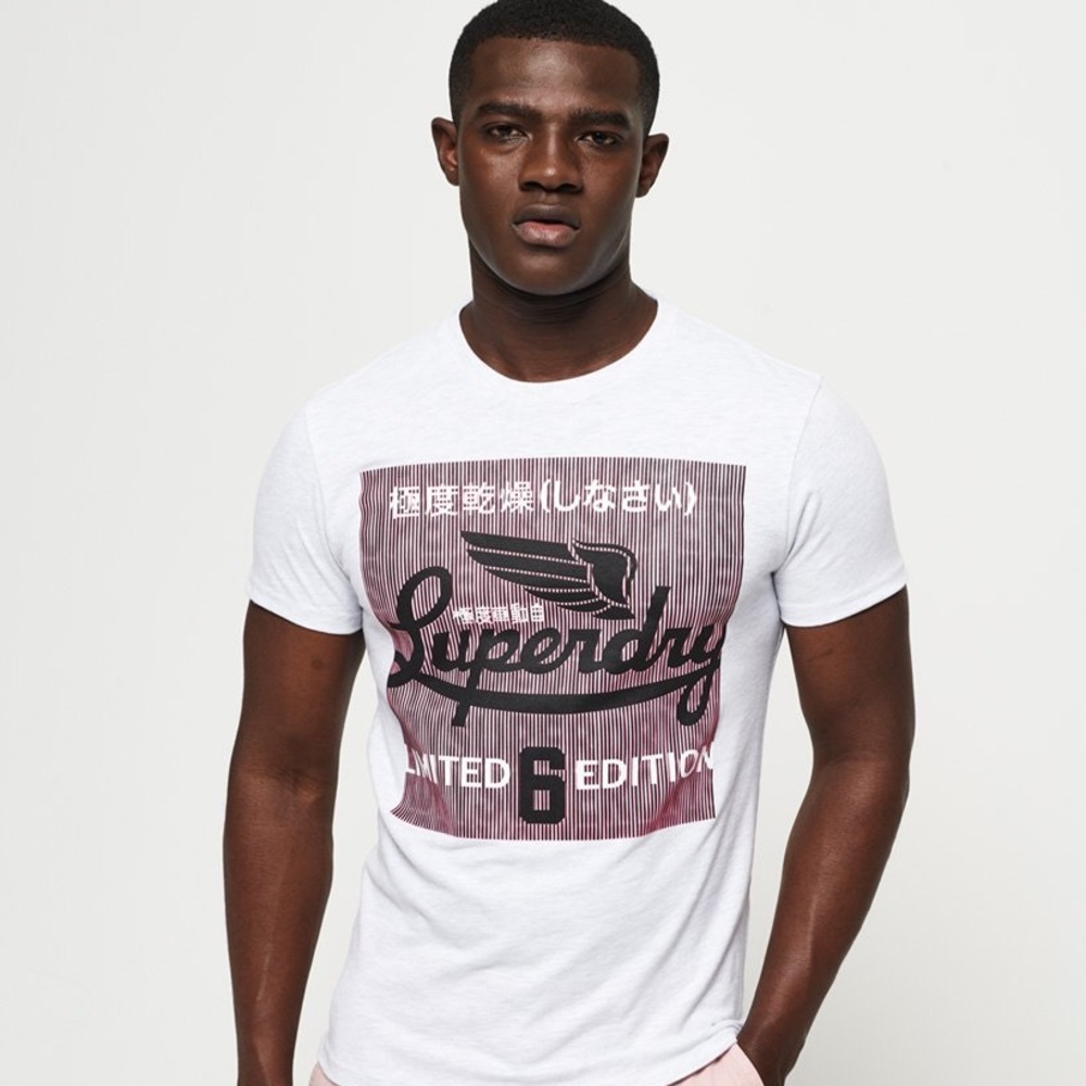 Super Dry Super Illusion Light Gray White Graphic Tee Large